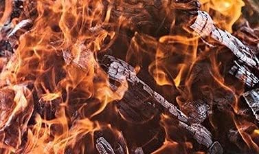Smoak Firewood - Kiln Dried Premium USDA Certified Firewood 100-120lbs) - Image 4