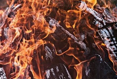 Smoak Firewood - Kiln Dried Premium USDA Certified Mixed Hardwood Kindling - - Image 5