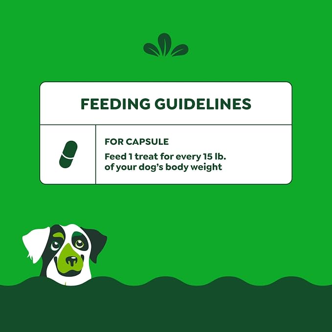 Greenies Pill Pockets for Dogs, Large Size Soft Dog Treats, Chicken Flavor - Image 8