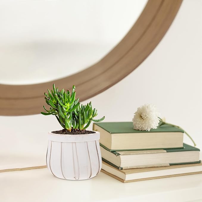 Round Woven Flower Pot with Plywood Base Flower Holder Planter - Image 4