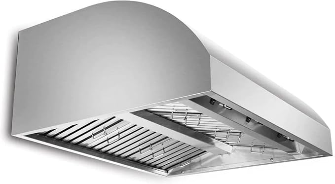 Blaze 42-Inch Outdoor Vent Hood | 304 Stainless Steel Construction | Dual 1000 by Blaze