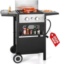 GREEN PARTY 2 Burner Griddle Grill Combo, 2 in 1 Propane Gas BBQ Grill w/Cast by GREENPARTY