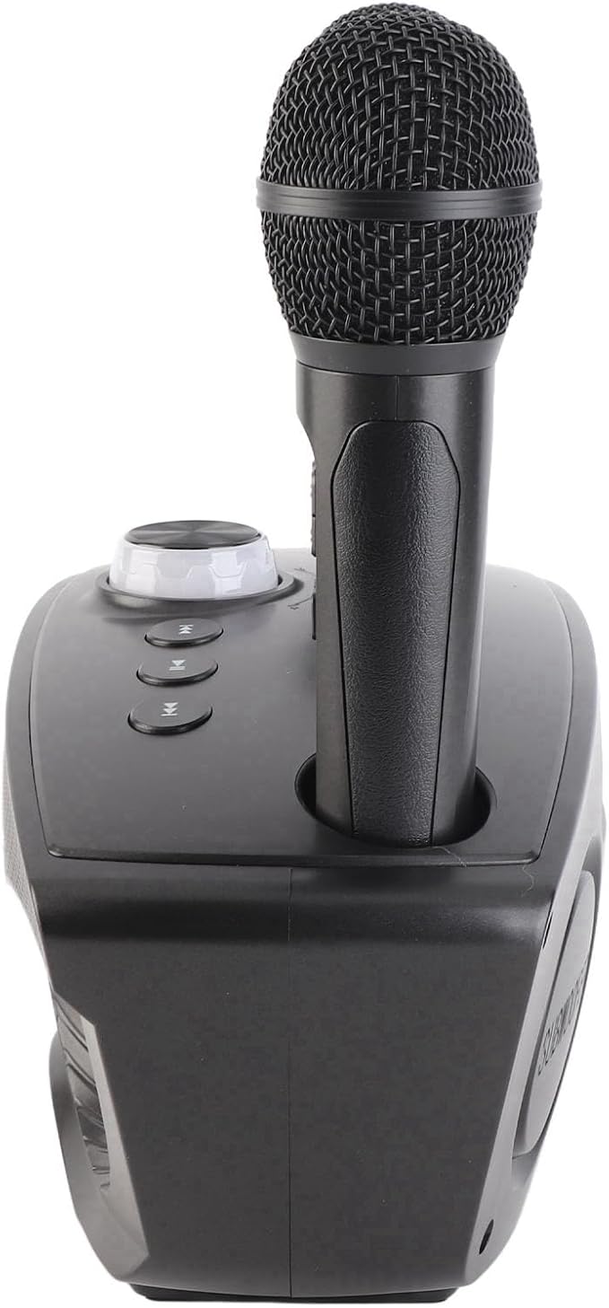 Speaker, KTV Karaoke Speaker - Image 2