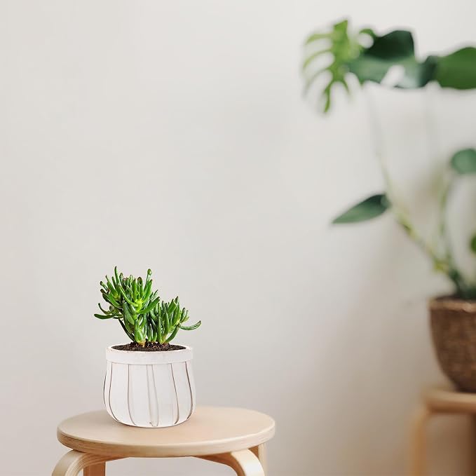 Round Woven Flower Pot with Plywood Base Flower Holder Planter - Image 8
