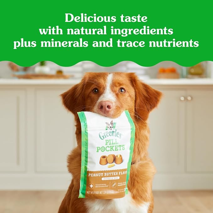 Greenies Pill Pockets for Dogs, Large Size Soft Dog Treats, Peanut Butter Flavor - Image 11