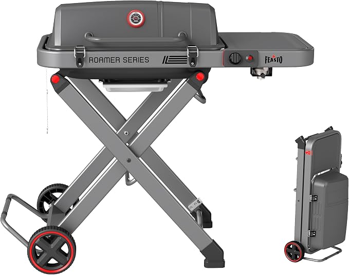 Portable Propane Gas Grill by Idealforcook