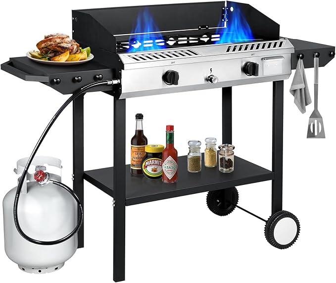 Llamaviva 2 Burner Outdoor Gas Stove by LLAMAVIVA