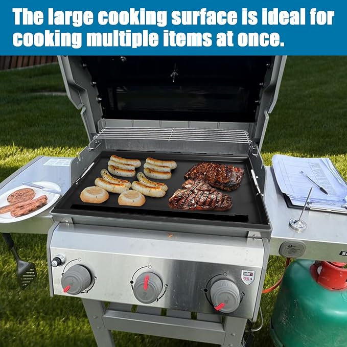 6787 Full-Size Griddle Inserts - Image 6