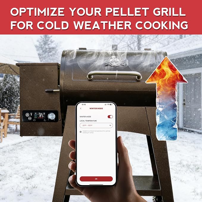 WiFi PID Rectangular Pellet Grill Controller Replacement - Image 7
