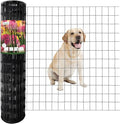 Black PVC Coated Welded Wire Fence 36 Inch x 50 Foot, 2 Inch x 3 Inch 16GA by FOREHOGARGARDEN%EF%BC%86HOME