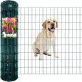 Green PVC Coated Welded Wire Fence 36 Inch x 50 Foot, 2 Inch x 4 Inch 14GA by FOREHOGARGARDEN%EF%BC%86HOME