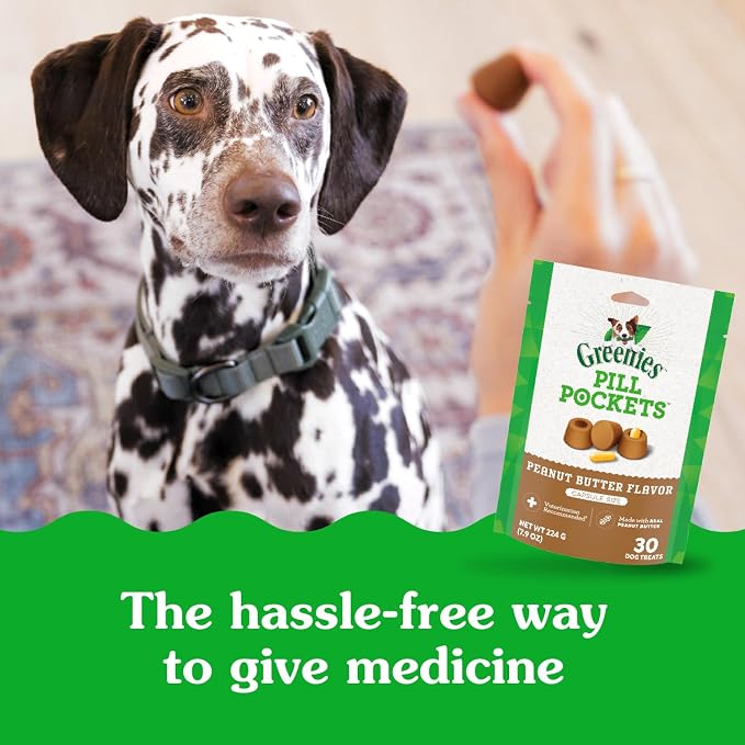 Greenies Pill Pockets for Dogs, Large Size Soft Dog Treats, Peanut Butter Flavor - Image 5