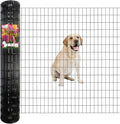 Black PVC Coated Welded Wire Fence 56 Inch x 50 Foot, 2 Inch x 4 Inch 14GA by FOREHOGARGARDEN%EF%BC%86HOME