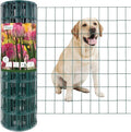 Green PVC Coated Welded Wire Fence 24 Inch x 50 Foot, 2 Inch x 3 Inch 16GA by FOREHOGARGARDEN%EF%BC%86HOME