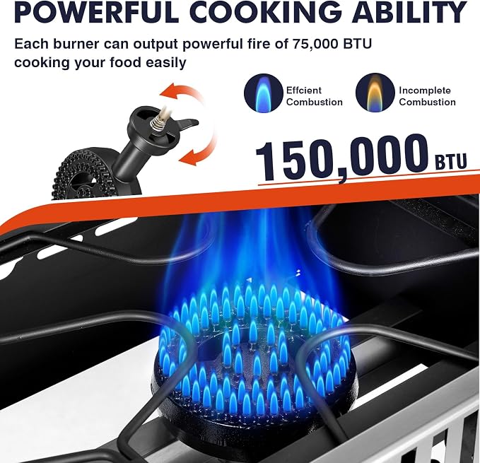 Llamaviva 2 Burner Outdoor Gas Stove - Image 2