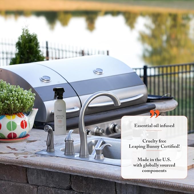 Bayes High-Performance Stainless Steel BBQ Exterior Cleaner and Protectant - Image 6