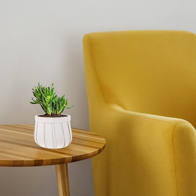 Round Woven Flower Pot with Plywood Base Flower Holder Planter - Image 6