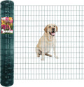 Green PVC Coated Welded Wire Fence 56 Inch x 50 Foot, 2 Inch x 4 Inch 14GA by FOREHOGARGARDEN%EF%BC%86HOME