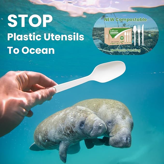 Extra Heavyduty Compostable Spoons Disposable Cutlery No Plastic Spoons Large - Image 6