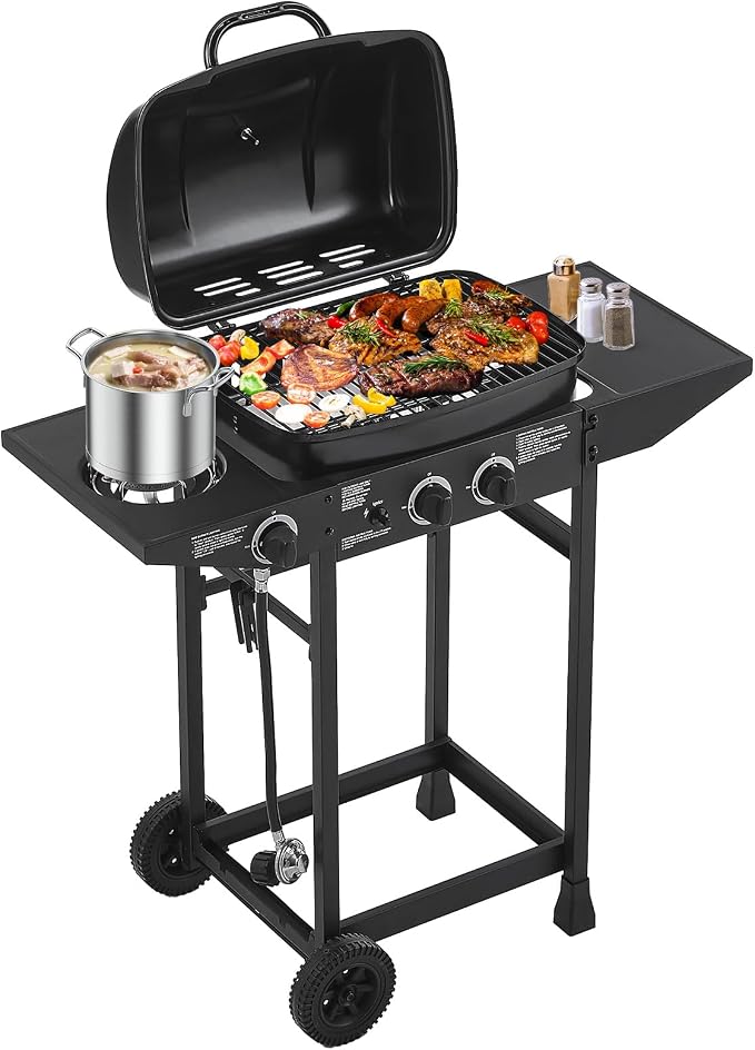 Lyromix 2 Burner Gas Grill by Lyromix