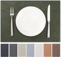 Faux Leather Placemats Set of 12 Vinyl Washable Wipeable Table Mats by BAROYAL