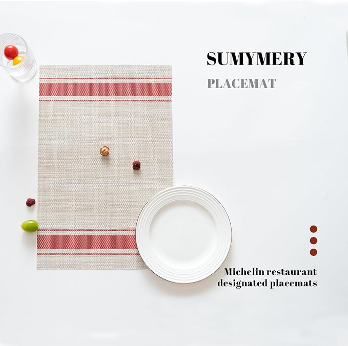 Placemats Set of 12 Vinyl/Plastic Woven Place Mats - Image 5