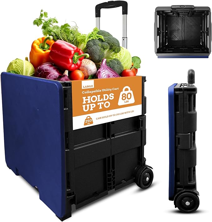 Inspired Living Collapsible Ultra-Slim Pack-N-Roll, 2 Wheel Utility Cart w/Lid by Inspired+Living