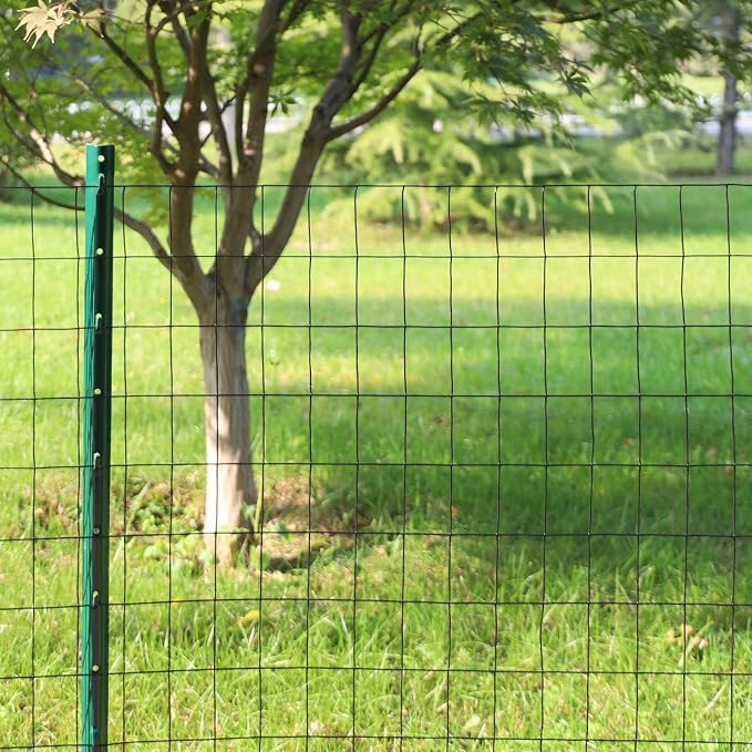 Black PVC Coated Welded Wire Fence 36 Inch x 25 Foot, 2 Inch x 3 Inch 16GA - Image 2