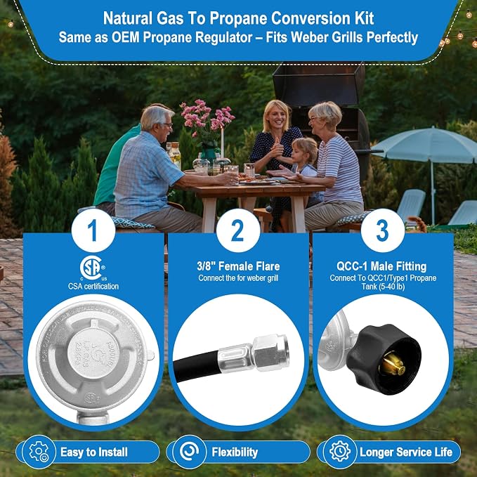 Natural Gas to Propane Conversion Kit - Image 5