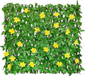 Expandable Fence Privacy Screen by Unknown
