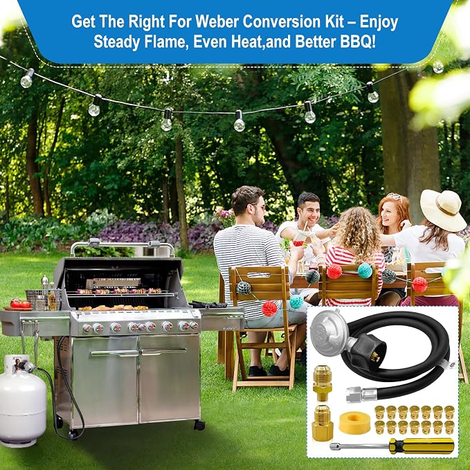 Natural Gas to Propane Conversion Kit - Image 7