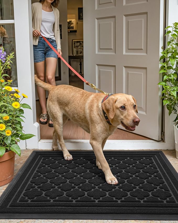 Color&Geometry Large Front Door Mat Outside Entrance, Heavy Duty Non Slip Low - Image 9
