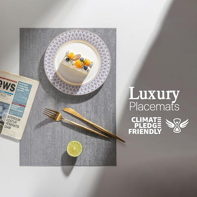 LEXMORE Placemats Vinyl/Plastic Woven Place Mats - Image 2