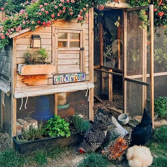 Vintage Chicken Coop Accessories – Funny Rooster Garden Signs and Grunge Room - Image 6