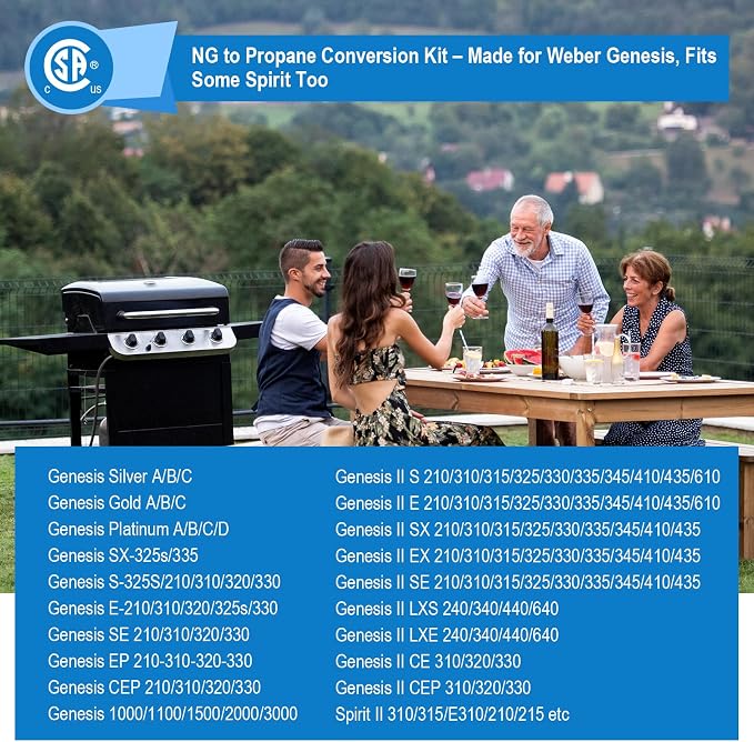 Natural Gas to Propane Conversion Kit - Image 3