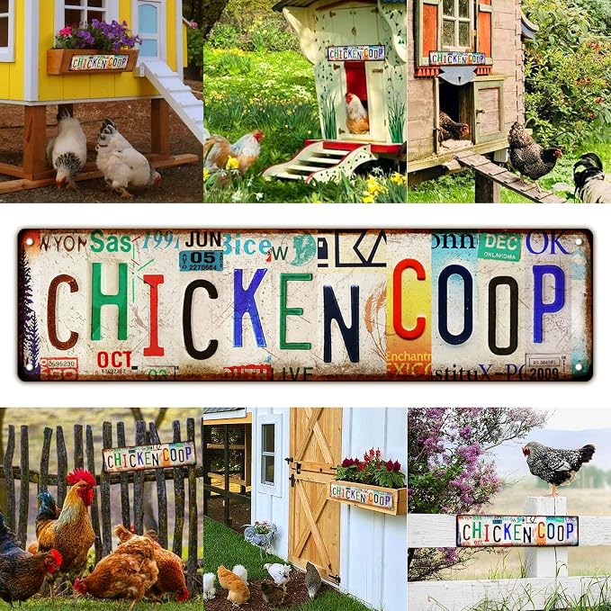 Vintage Chicken Coop Accessories – Funny Rooster Garden Signs and Grunge Room - Image 5