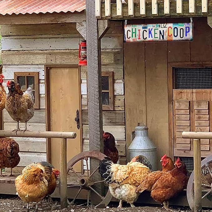 Vintage Chicken Coop Accessories – Funny Rooster Garden Signs and Grunge Room - Image 7