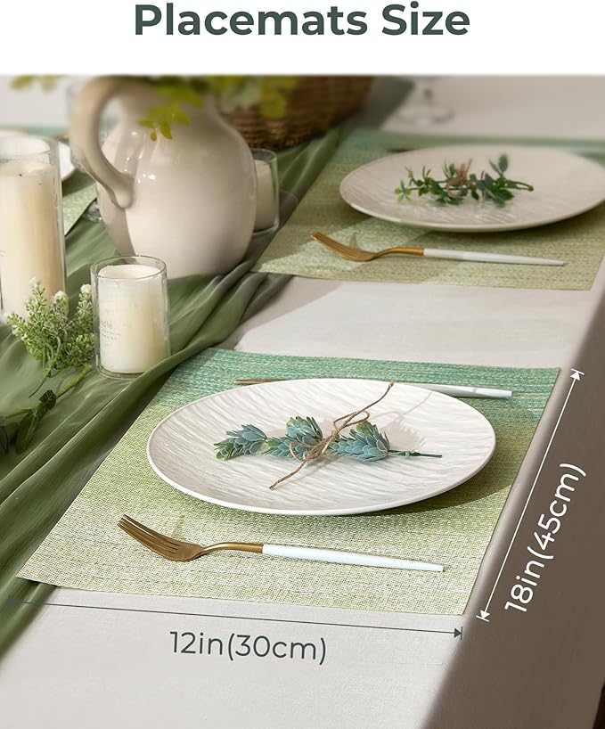 Leetaltree Gradient Green Woven Placemats Set of 4 - Image 4