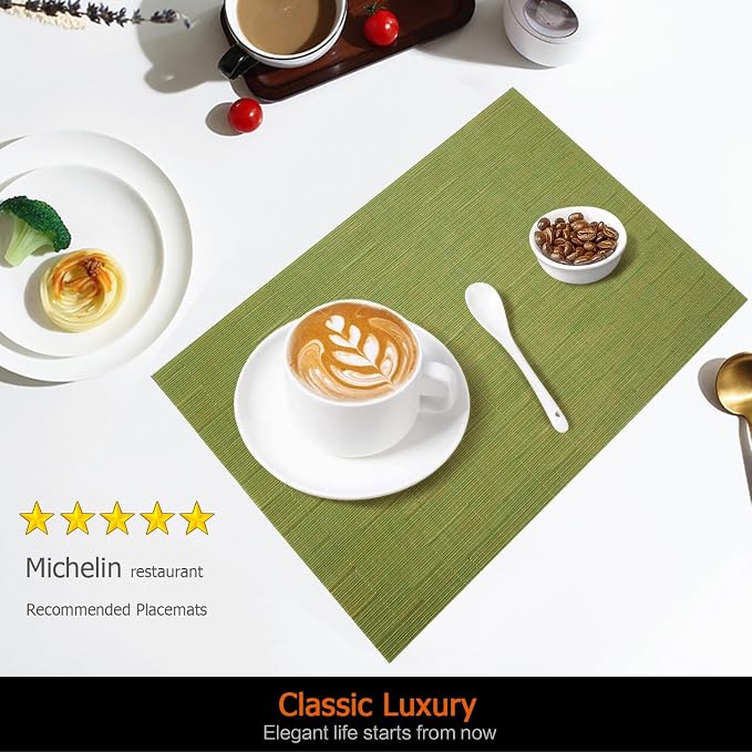 Placemats Set of 12 Washable&Wipeable Place mats - Image 2