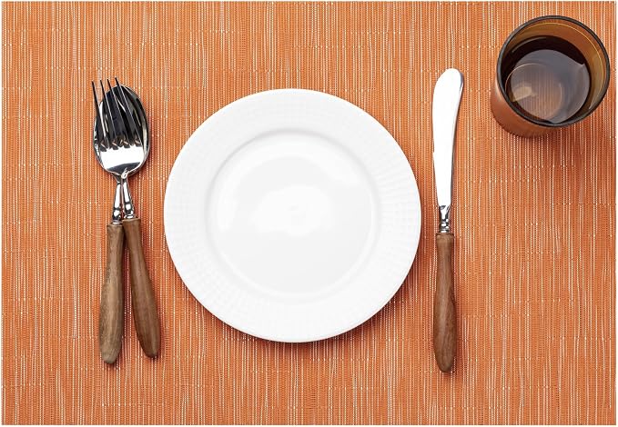 LEXMORE Placemats Set of 12 Vinyl/Plastic Woven Place Mats by lexmore