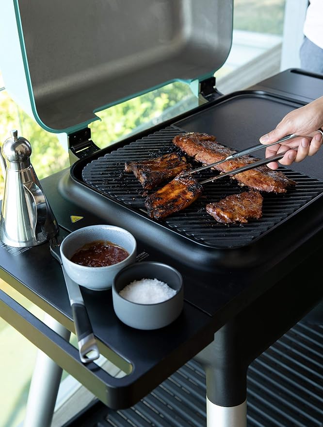 Everdure FORCE 2 Burner Gas Grill, Liquid Propane Portable BBQ Grill - Image 10