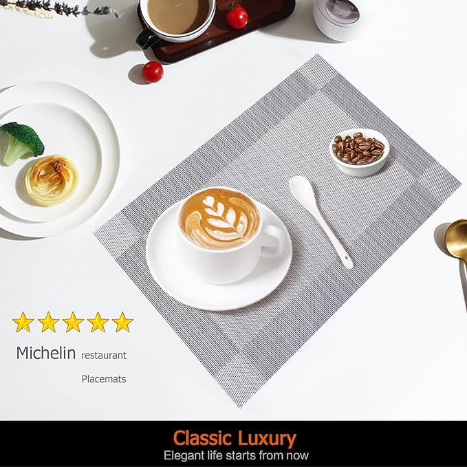 Placemats Set of 12 Washable&Wipeable Silver Place mats - Image 2