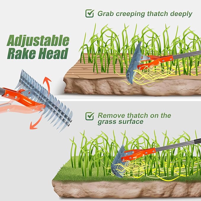 Walensee Thatch Rake, 15-Inch Lawn Thatching Rake, Robust Dethatcher Rake - Image 5