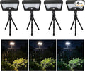 Solar Motion Sensor Outdoor Lights by Varmtalys
