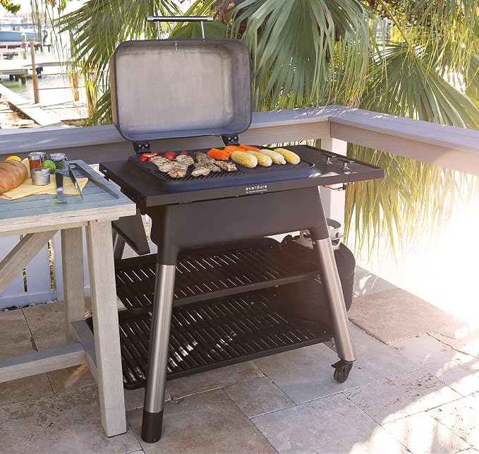 Everdure FORCE 2 Burner Gas Grill, Liquid Propane Portable BBQ Grill - Image 6