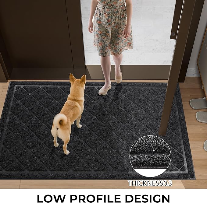 Front Door Mat Indoor Outdoor Entrance, Non-Slip Absorbent Entryway Mat - Image 5