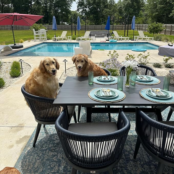 PURPLE LEAF Outdoor Dining Set for 8 All-Weather 9 Piece Patio Aluminium Dining by PURPLELEAF