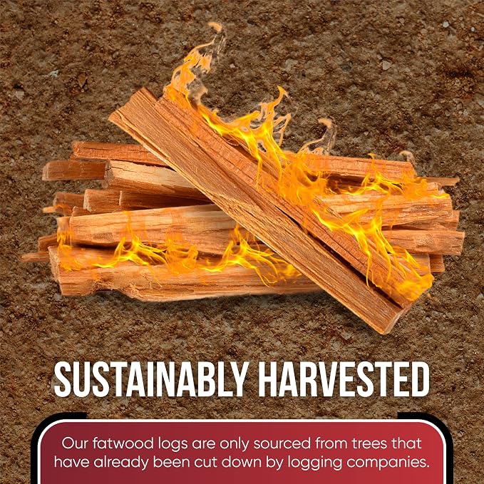 Fatwood Fire Starter Sticks 10 lb – 100% Natural, Resin-Rich Kindling - Image 5