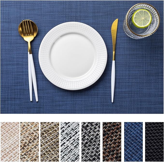 LEXMORE Placemats Set of 4 Vinyl/Plastic Woven Place Mats by lexmore