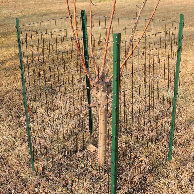 Black PVC Coated Welded Wire Fence 36 Inch x 25 Foot, 2 Inch x 3 Inch 16GA - Image 5